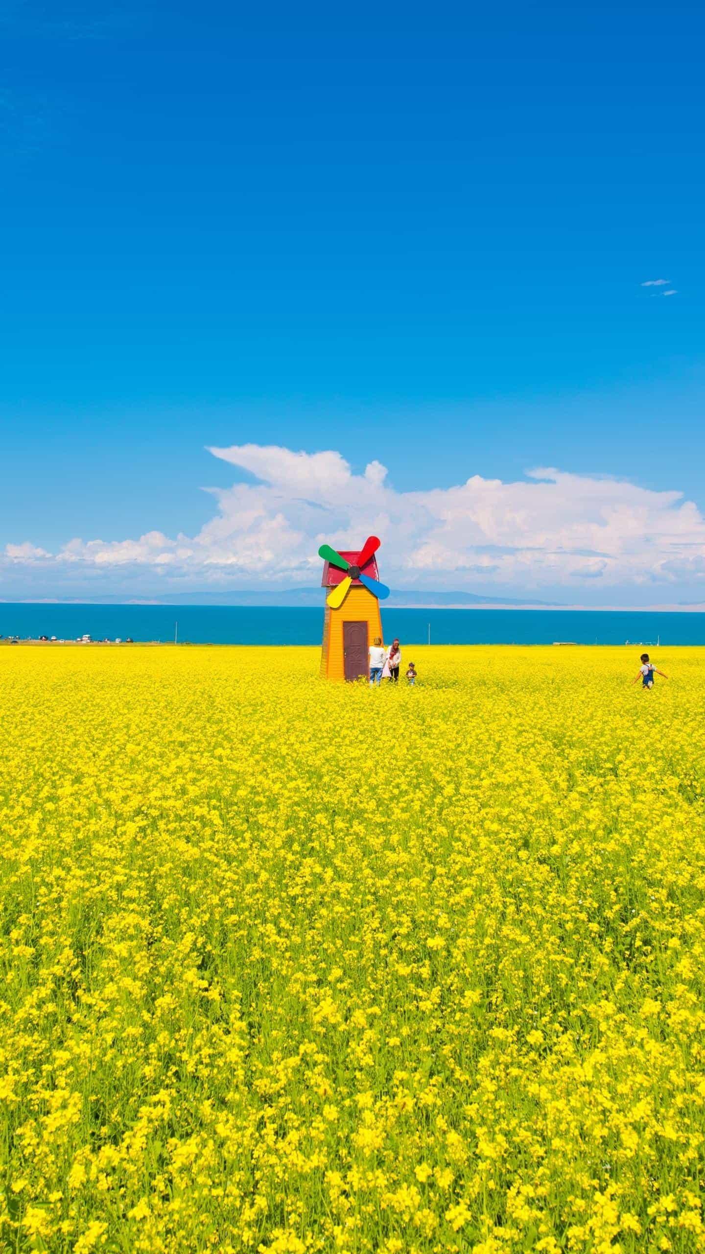 头像